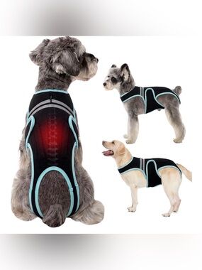 Dog Recovery Suit Back Brace- Black with Light Blue Trim Sz Small
